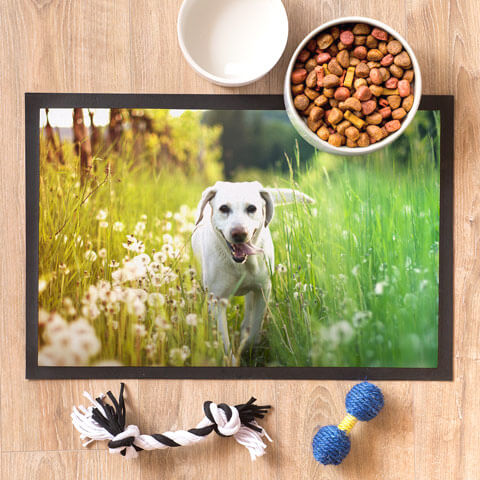 Tappetino personalizzato cane gatto